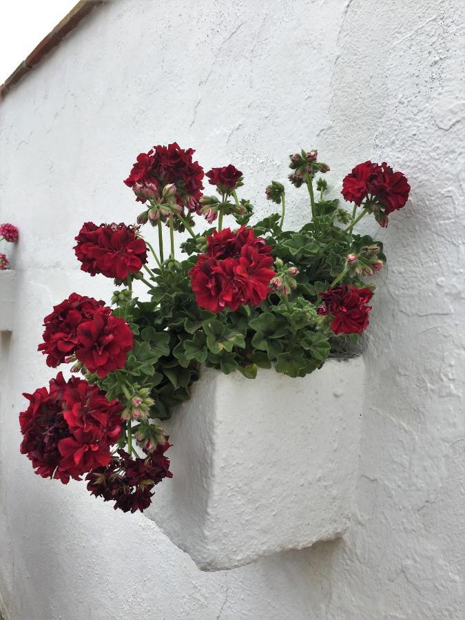 Iznate Casa Las Torres B&B المظهر الخارجي الصورة